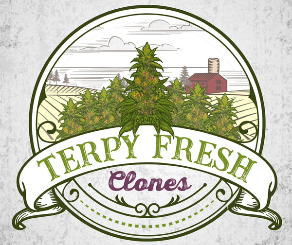 Terpy Fresh Farms